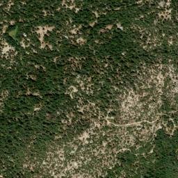 Pine Wood California High Resolution Satellite Map