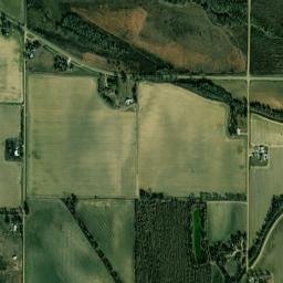 220 Drew Merigold Road, Merigold, MS High Resolution Satellite Map