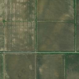 Bolivar County map(satellite map)