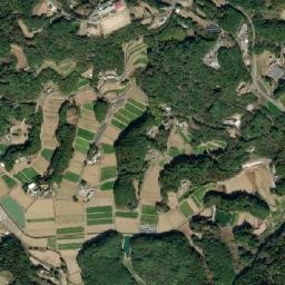 Iki Shi map(satellite map)