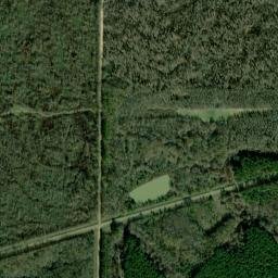 Unnamed Road, Holcomb, MS 38940 High Resolution Satellite Map