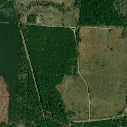 Sayre Arkansas High Resolution Satellite Map