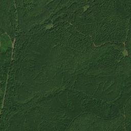 Kershaw Alabama High Resolution Satellite Map