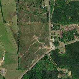 Molloy Alabama High Resolution Satellite Map