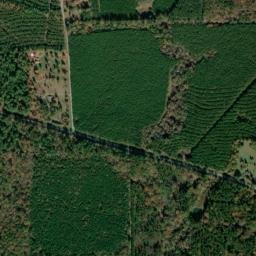 Brandon Arkansas High Resolution Satellite Map