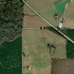 Highway 35, Wilmar, AR 71675, USA High Resolution Satellite Map