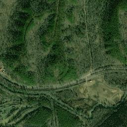 Patton Alabama High Resolution Satellite Map