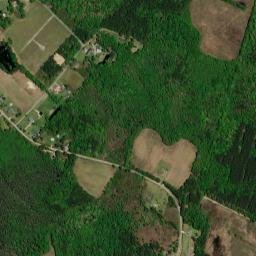 443-611 County Road S-45-590, Kingstree High Resolution Satellite Map