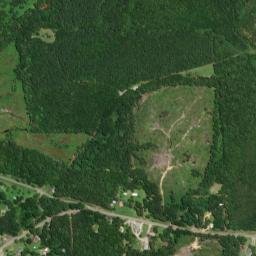 Covin Alabama High Resolution Satellite Map