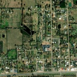 Blossom map(satellite map)