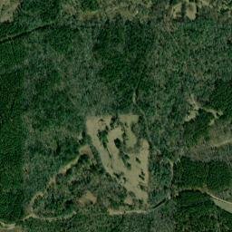 Unnamed Road, Chidester, AR 71726, USA High Resolution Satellite Map