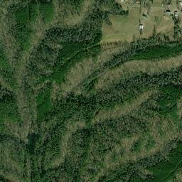 Goodsprings Alabama High Resolution Satellite Map