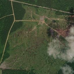 Cole Arkansas High Resolution Satellite Map