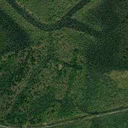 Dave Arkansas High Resolution Satellite Map