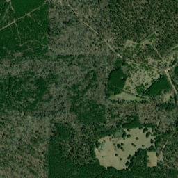 Watson Arkansas High Resolution Satellite Map