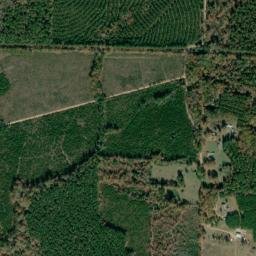 Tennessee Arkansas High Resolution Satellite Map