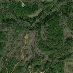 Wallace Ferry Road Oakman AL 35579 High Resolution Satellite Map