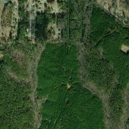 Grays Gardens Alabama High Resolution Satellite Map