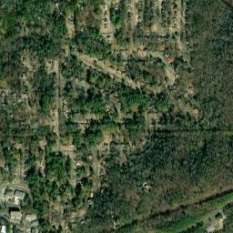 Barnisdale Forest Alabama High Resolution Satellite Map