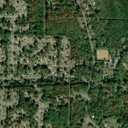 Forest View Estates Alabama High Resolution Satellite Map