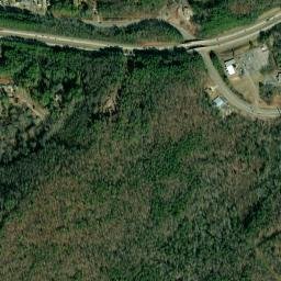 Roebuck Forest Alabama High Resolution Satellite Map