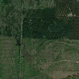 Coler Arkansas High Resolution Satellite Map