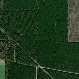 Deane Arkansas High Resolution Satellite Map