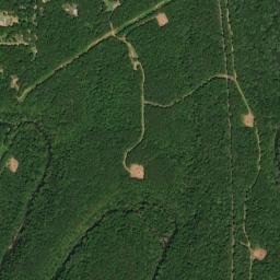 Shady Grove-Maytown Road, Adamsville, AL High Resolution Satellite Map