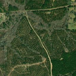 1038-3588 County Road 42, Heflin, AL High Resolution Satellite Map