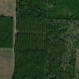 Calhoun County map(satellite map)