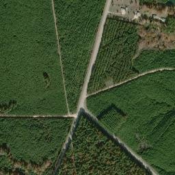 Carmel Arkansas High Resolution Satellite Map