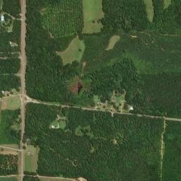 Newtonville Alabama High Resolution Satellite Map