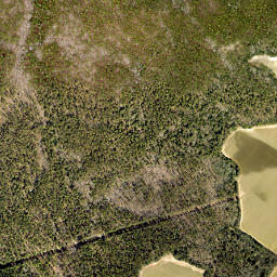 Aiken County map(satellite map)
