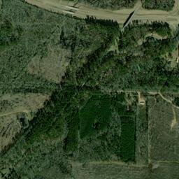 County Road 276, Mathiston, MS 39752 High Resolution Satellite Map