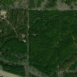 2964-2996 US-82 Maben MS 39750 High Resolution Satellite Map