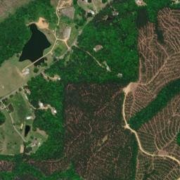 Wolf Creek Alabama High Resolution Satellite Map