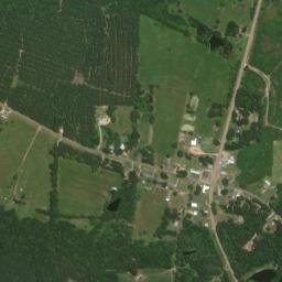 Willisville Arkansas High Resolution Satellite Map