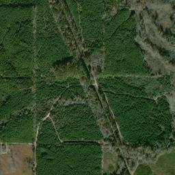 Craney Arkansas High Resolution Satellite Map