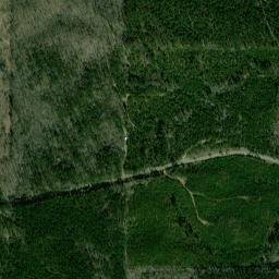 600-618 Lodi Road, Winona, MS 38967 High Resolution Satellite Map