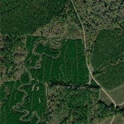 Lewis Arkansas High Resolution Satellite Map