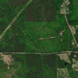 1759-1805 Sturgis Maben Road, Maben, MS High Resolution Satellite Map