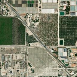 Oasis map(satellite map)