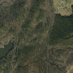 Lowery Alabama High Resolution Satellite Map