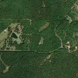 Tucktown Alabama High Resolution Satellite Map