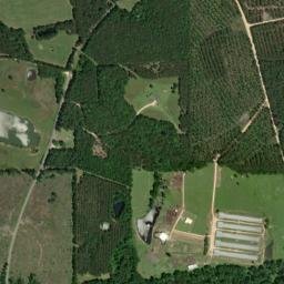 Simpson Arkansas High Resolution Satellite Map