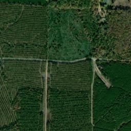 Valley Junction Arkansas High Resolution Satellite Map