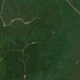 Carroll County map(satellite map)