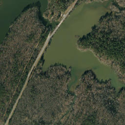 Bridgeton Alabama High Resolution Satellite Map