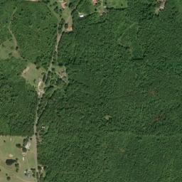Feddisburg Alabama High Resolution Satellite Map