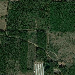 Beech Creek Arkansas High Resolution Satellite Map